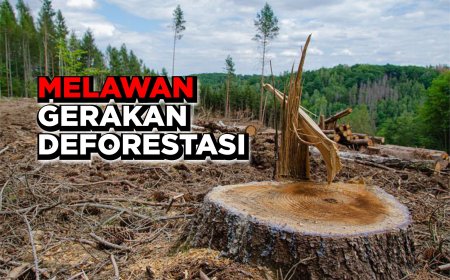 MELAWAN GERAKAN DEFORESTASI