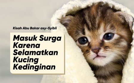 MASUK SURGA KARENA SELAMATKAN KUCING KEDINGINAN