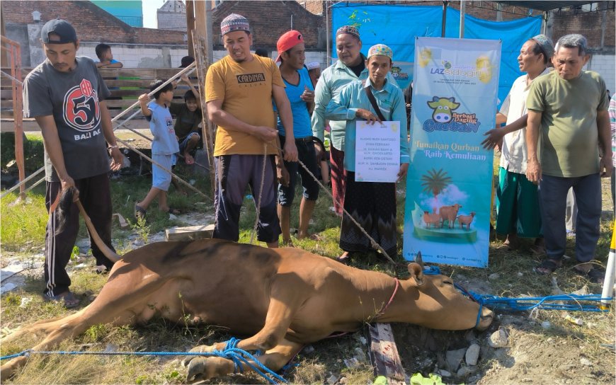 LAZ SIDOGIRI CABANG SURABAYA I GELAR PROSESI QURBAN DI MASJID AHLUSSUNNAH WAL JAMAAH SURABAYA