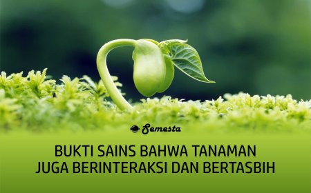 BUKTI SAINS BAHWA TANAMAN JUGA BERINTERAKSI DAN BERTASBIH