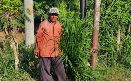 LEBIH MEMILIH BERJUALAN RUMPUT DARIPADA MEMINTA-MINTA