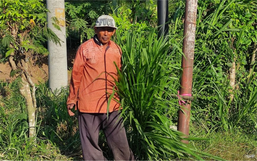 LEBIH MEMILIH BERJUALAN RUMPUT DARIPADA MEMINTA-MINTA