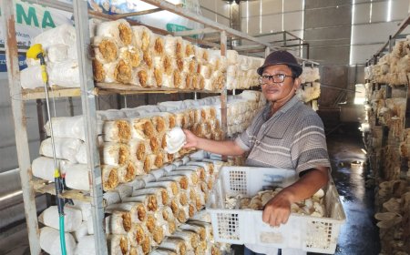 BERDAYAKAN MUSTAHIK DENGAN USAHA BUDIDAYA JAMUR TIRAM