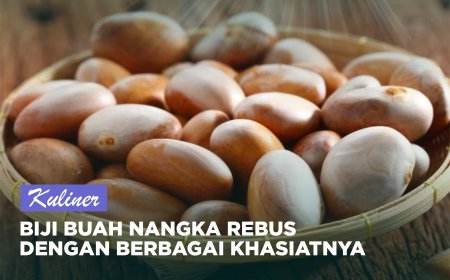 BIJI BUAH NANGKA REBUS DENGAN BERBAGAI KHASIATNYA