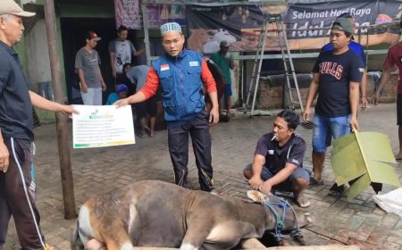 LAZ SIDOGIRI NTT BERBAGI DAGING QURBAN BERSAMA MASJID BESAR AL-MUHAJIRIN ATAMBUA