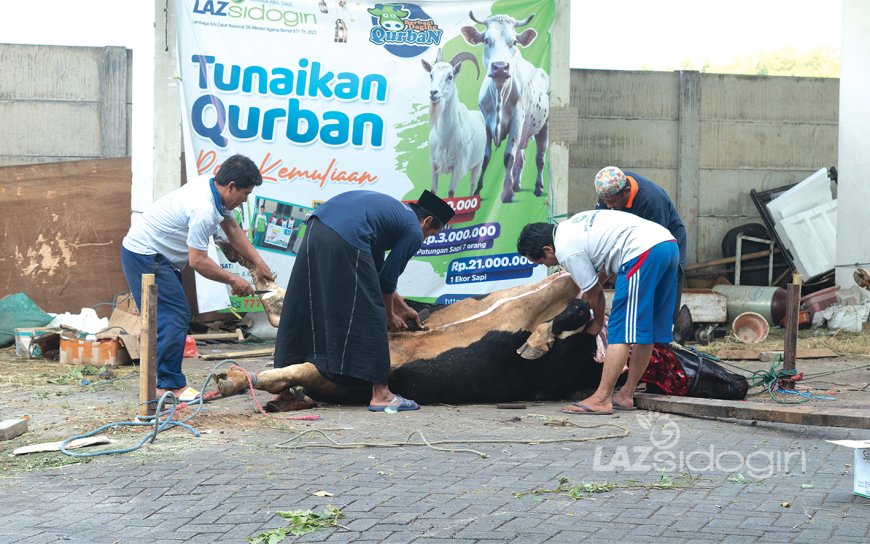 SEMARAK KURBAN LAZ SIDOGIRI 1446 H