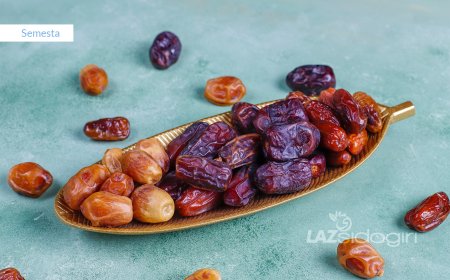 RAHASIA KURMA MENJADI MAKANAN PENTING BANGSA ARAB