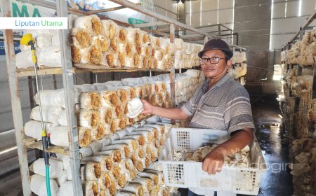 BERDAYAKAN MUSTAHIK DENGAN USAHA BUDIDAYA JAMUR TIRAM