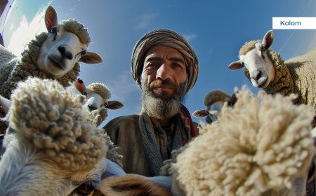 QURBAN: ENERGI SOLIDARITAS DAN KEADILAN SOSIAL