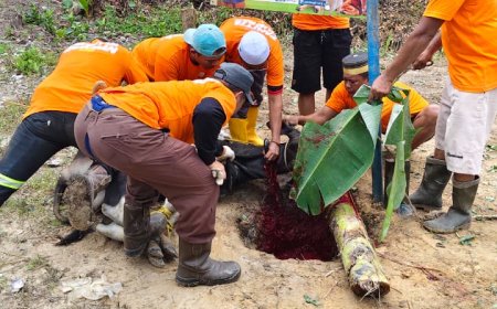 TEBAR MANFAAT QURBAN, LAZ SIDOGIRI MERIAHKAN IDUL ADHA 1447 H DI KARIANGAU BALIKPAPAN BARAT