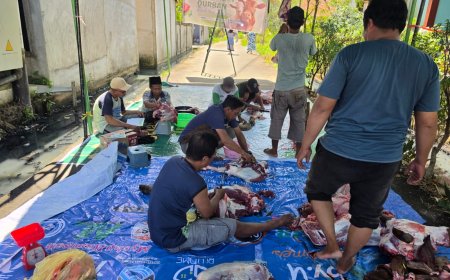 MOMEN IDUL ADHA 1447 H, LAZ SIDOGIRI KALBAR SALURKAN QURBAN DI SUNGAI KAKAP