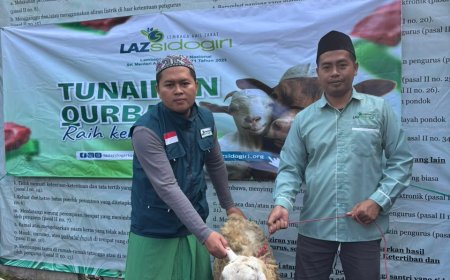 LAZ SIDOGIRI TEBAR BERKAH QURBAN 6 EKOR KAMBING DI LUMAJANG