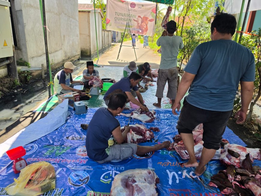 MOMEN IDUL ADHA 1447 H, LAZ SIDOGIRI KALBAR SALURKAN QURBAN DI SUNGAI KAKAP