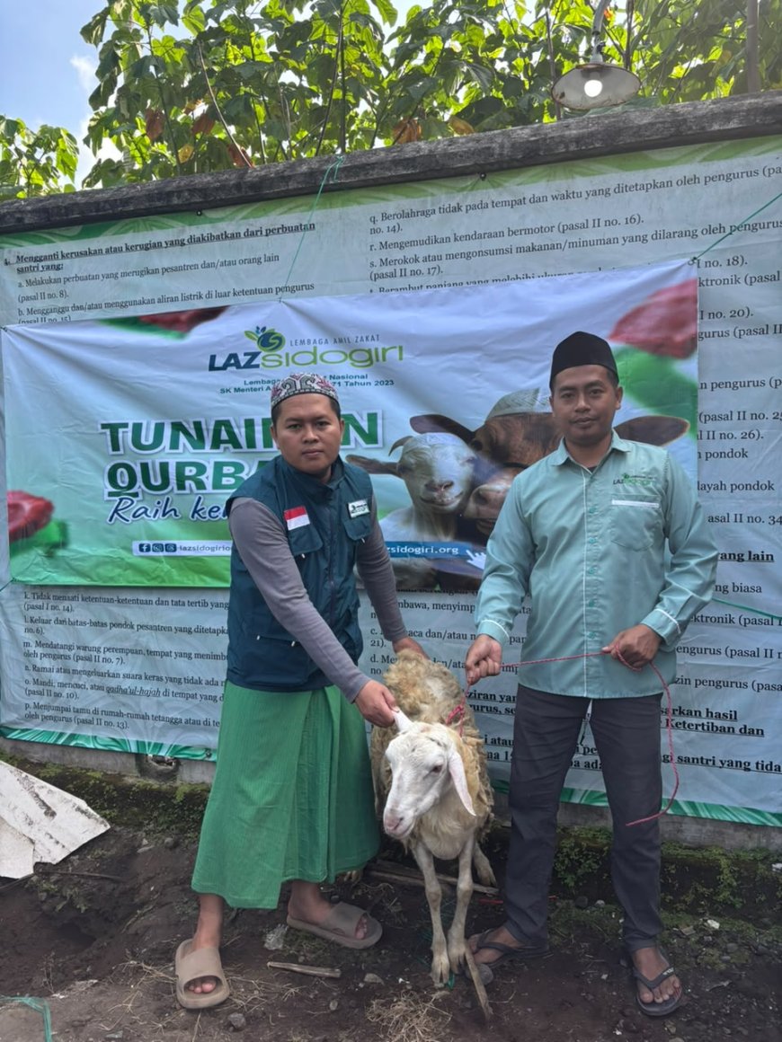 LAZ SIDOGIRI TEBAR BERKAH QURBAN 6 EKOR KAMBING DI LUMAJANG