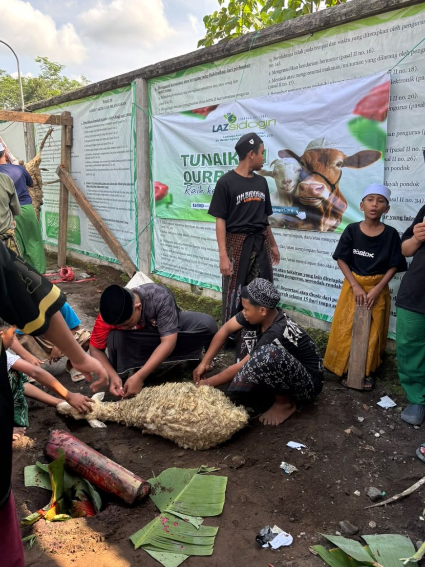 LAZ SIDOGIRI TEBAR BERKAH QURBAN 6 EKOR KAMBING DI LUMAJANG