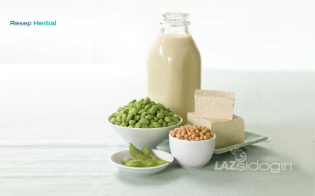  MAKANAN UNTUK MEMPERKUAT TULANG DAN MENCEGAH OSTEOPOROSIS