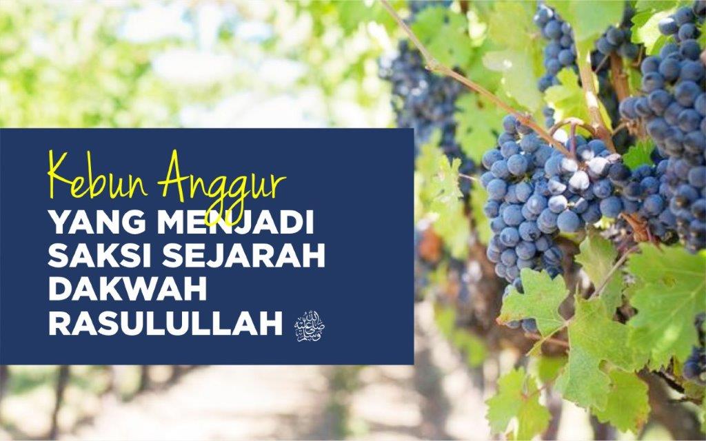 KEBUN ANGGUR YANG MENJADI SAKSI SEJARAH DAKWAH RASULULLAH SAW